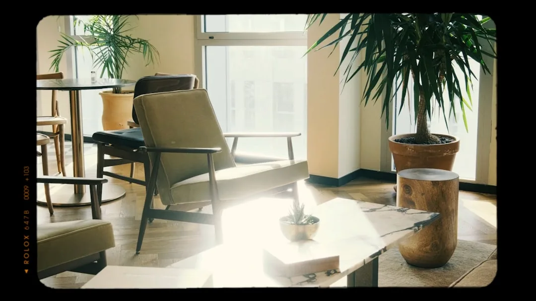 Sunlit mid-century modern lounge chair beside potted indoor tree and marble coffee table in thoughtfully designed living