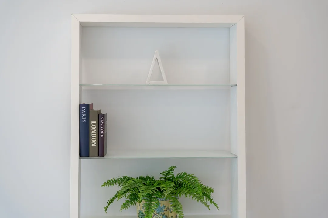 White built-in shelf styled with triangle decorative object, stacked city books, and green fern plant using triangle met