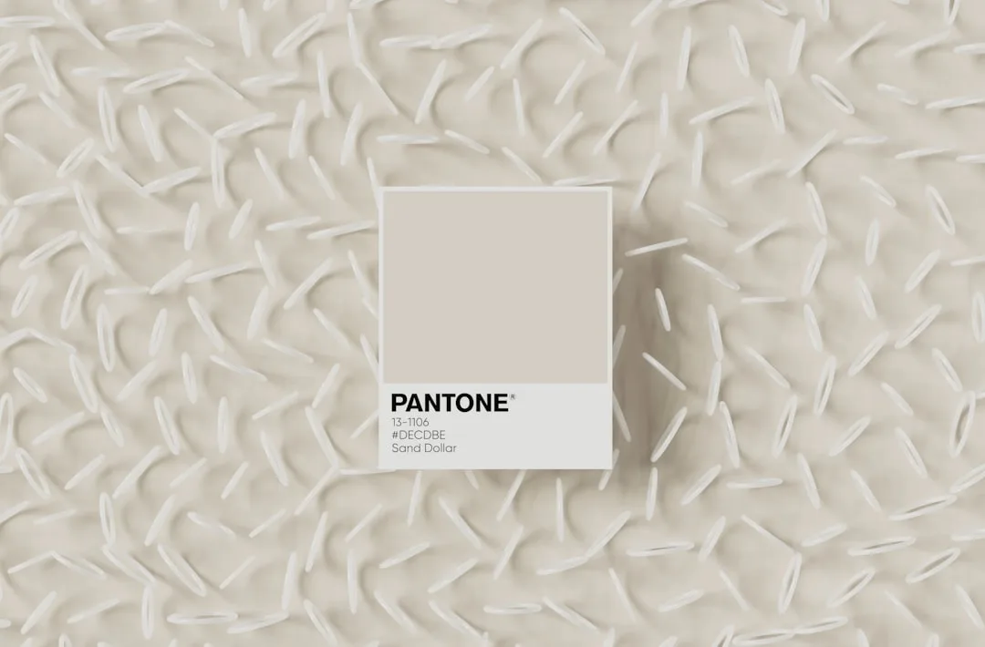 Pantone 13-1106 Sand Dollar color swatch card on warm white rice grain textured background