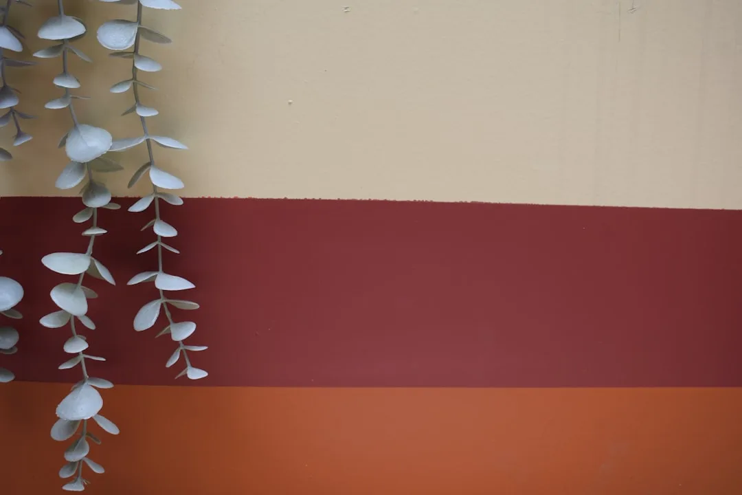 Three-stripe wall color combination with cream, deep red, and terracotta orange horizontal bands with hanging eucalyptus