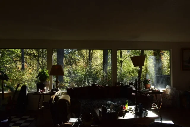 Dark living room interior with dramatic contrast b