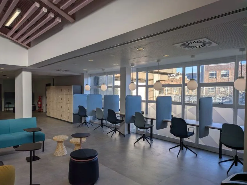 Modern open-plan office with globe pendant lights zoning collaborative and focus work areas near large windows