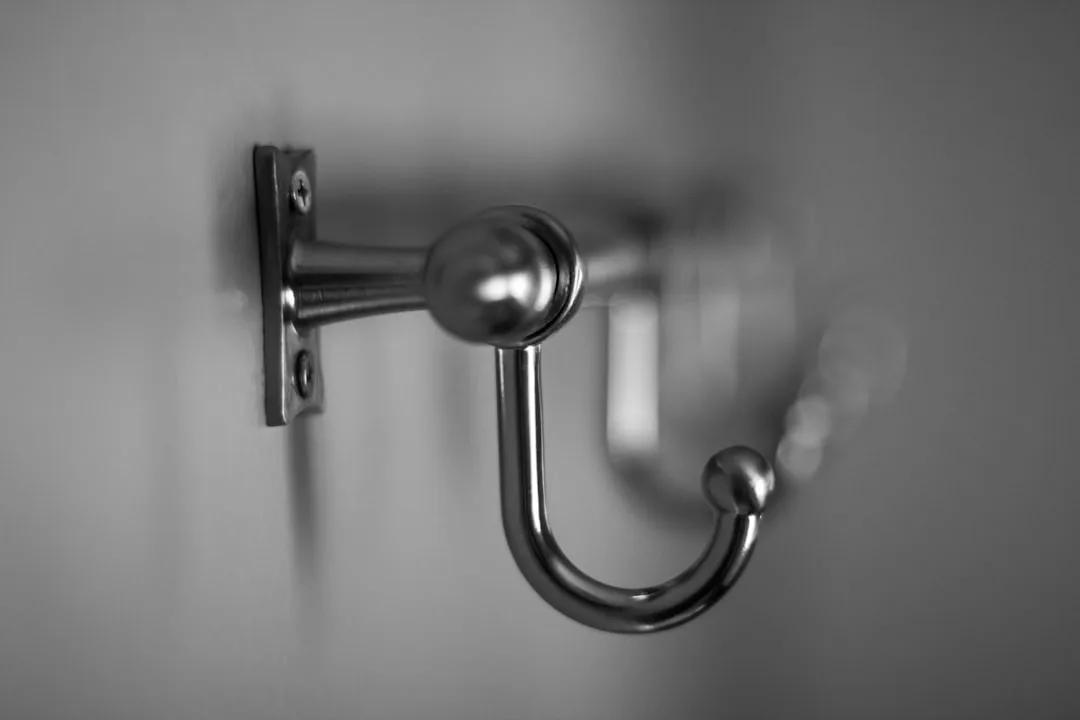 Brushed stainless steel wall-mounted coat hook wit