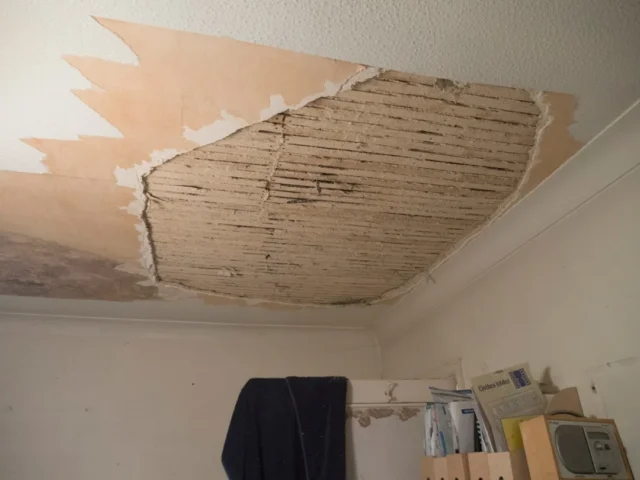 Severely damaged ceiling with peeling plaster reve
