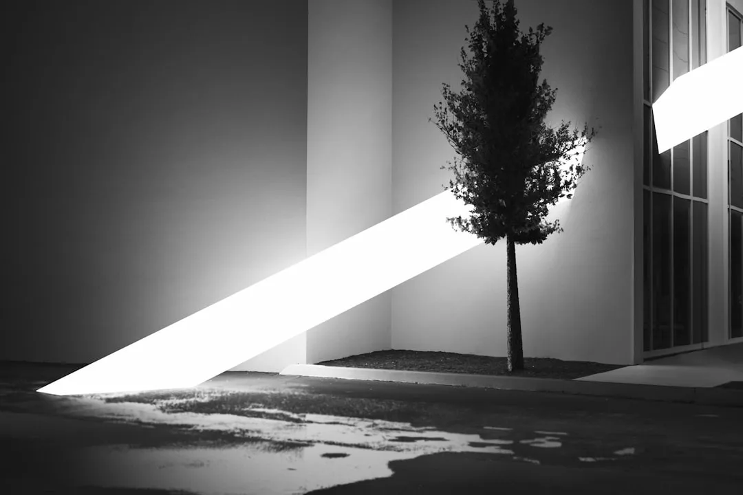Dramatic diagonal natural light beam hitting white