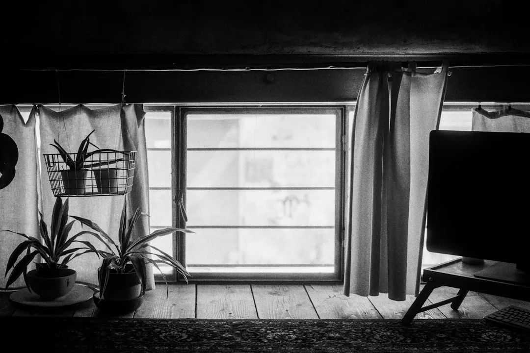 Black and white photo of curtains hung at low ceiling height beside a window with houseplants in a living room