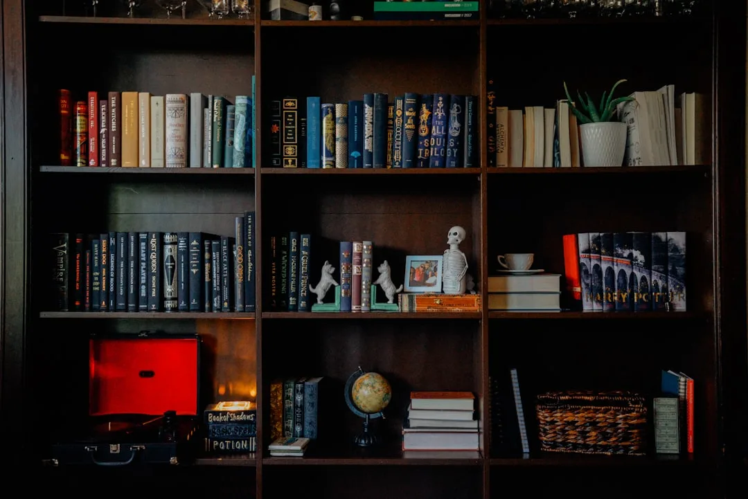Styled dark wood bookshelf with Harry Potter books